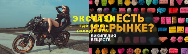 дмт Богданович