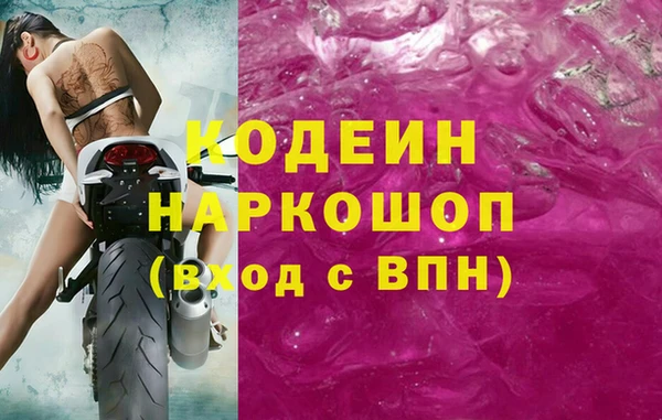 Альфа ПВП Белокуриха