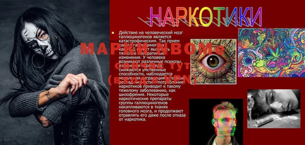 дмт Богданович